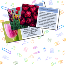 Презентация «Тюльпан»