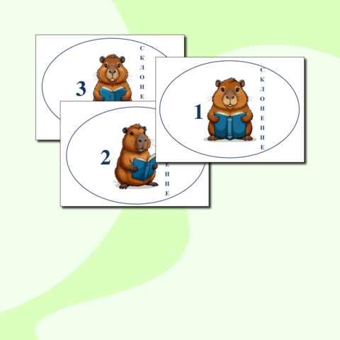 Дидактическая игра по русскому языку "Склонение имён существительных", 3 класс