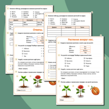 Рабочий лист на тему «Растения вокруг нас».