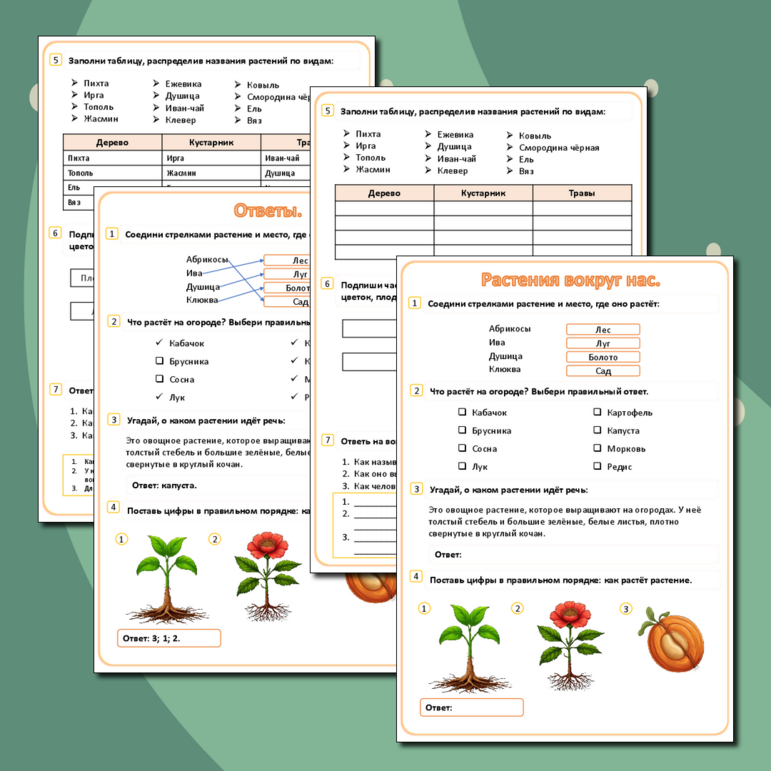Рабочий лист на тему «Растения вокруг нас».