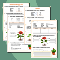 Рабочий лист на тему «Растения вокруг нас».