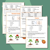 Рабочий лист на тему «Растения вокруг нас».