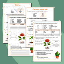 Рабочий лист на тему «Растения вокруг нас».