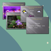 Презентация по познанию мира для 2 класса «Изучаем мир растений»