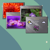 Презентация по познанию мира для 2 класса «Изучаем мир растений»