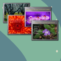 Презентация по познанию мира для 2 класса «Изучаем мир растений»