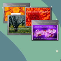 Презентация по познанию мира для 2 класса «Изучаем мир растений»