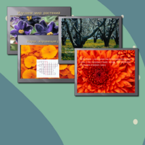 Презентация по познанию мира для 2 класса «Изучаем мир растений»