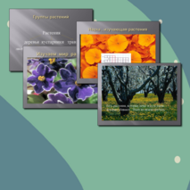 Презентация по познанию мира для 2 класса «Изучаем мир растений»