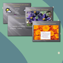 Презентация по познанию мира для 2 класса «Изучаем мир растений»