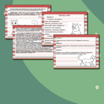 Презентация для подготовки к ГИА ПО РУССКОМУ ЯЗЫКУ 9 КЛАСС