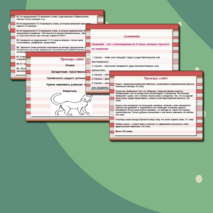 Презентация для подготовки к ГИА ПО РУССКОМУ ЯЗЫКУ 9 КЛАСС