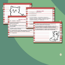 Презентация для подготовки к ГИА ПО РУССКОМУ ЯЗЫКУ 9 КЛАСС
