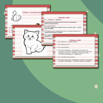 Презентация для подготовки к ГИА ПО РУССКОМУ ЯЗЫКУ 9 КЛАСС