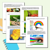 Сказка на тему "Свет и цвет. (Оптические явления)"