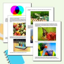 Сказка на тему "Свет и цвет. (Оптические явления)"