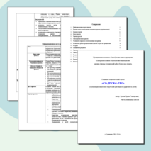 Социально-педагогический проект "СО-ДРУЖес-ТВО" (для 1-9 классов)