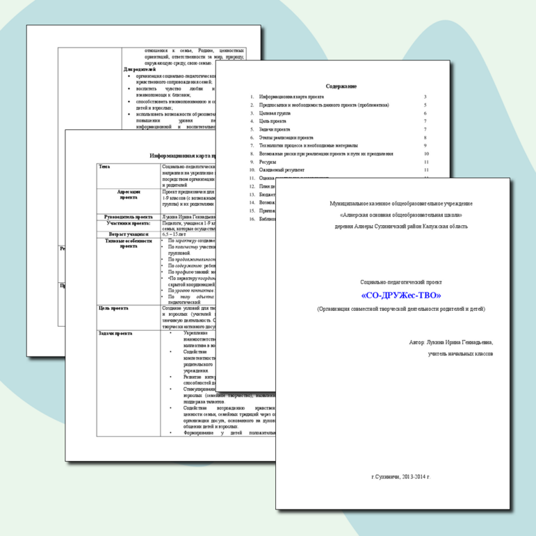 Социально-педагогический проект "СО-ДРУЖес-ТВО" (для 1-9 классов)