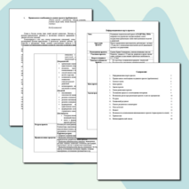 Социально-педагогический проект "СО-ДРУЖес-ТВО" (для 1-9 классов)