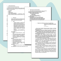 Социально-педагогический проект "СО-ДРУЖес-ТВО" (для 1-9 классов)