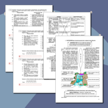 Тренировочные задания на знание синтаксических норм, норм согласования и управления (задание 7).