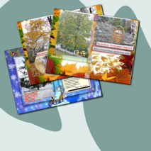 Презентация по литературе "ЛИРИЧЕСКОЕ ОПИСАНИЕ"