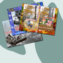 Презентация по литературе "ЛИРИЧЕСКОЕ ОПИСАНИЕ"