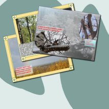 Презентация по литературе "ЛИРИЧЕСКОЕ ОПИСАНИЕ"