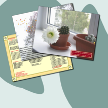 Презентация по литературе "ЛИРИЧЕСКОЕ ОПИСАНИЕ"