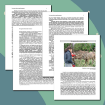 Экскурсия "Костромской лосиный комплекс"