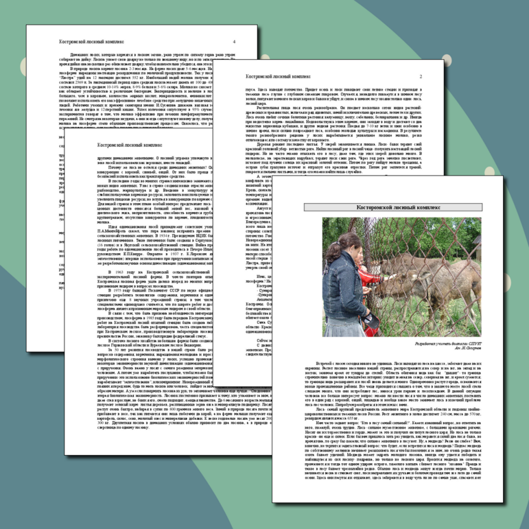 Экскурсия "Костромской лосиный комплекс"