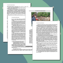 Экскурсия "Костромской лосиный комплекс"