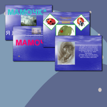 Презентация внеклассного мероприятия Земная жизнь пресвятой Богородицы