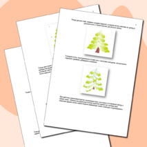 Авторский урок по информатике. Векторная графика. Векторный редактор CorelDraw.