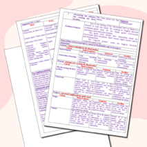 Разработка урока по английскому языку для 6 класса "Universiade 2013".