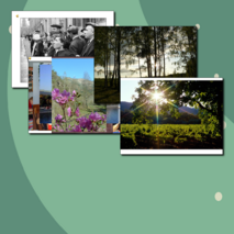 Подвигу народа жить в веках!