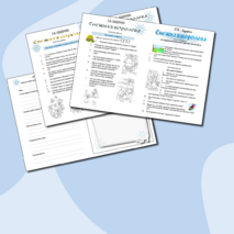 Вопросник по внеклассному чтению. Г.Х.Андерсен "Снежная королева" (2 класс)