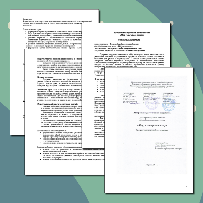 Программа внеурочной деятельности "Мир, в котором я живу" (5 класс)