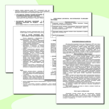 Рабочая программа по информатике 10 класс. УМК Семакин И.Г.