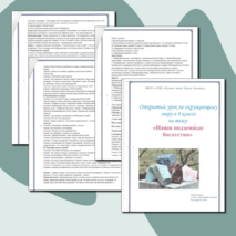 Открытый урок "Наши подземные богатства"