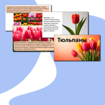 Презентация «Тюльпаны».