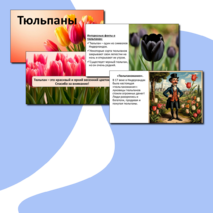 Презентация «Тюльпаны».