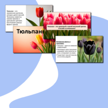 Презентация «Тюльпаны».