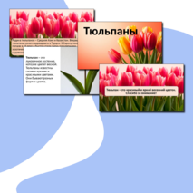 Презентация «Тюльпаны».
