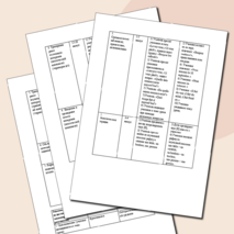 Технологическая карта урока французского языка по теме: "En récréation"