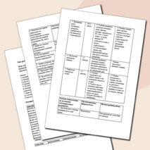 Технологическая карта урока французского языка по теме: "En récréation"