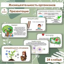 Презентация по биологии «Жизнедеятельность организмов», 5 класс