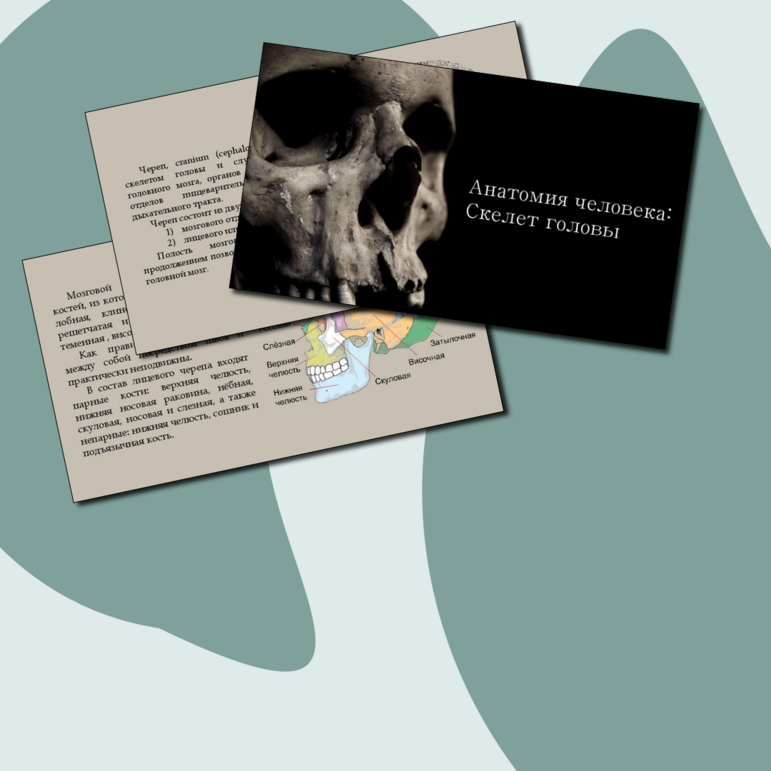 Презентация 