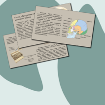 Презентация 