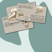 Презентация 